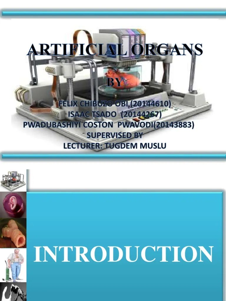 A Brief History and Overview of Artificial Organs Their Development