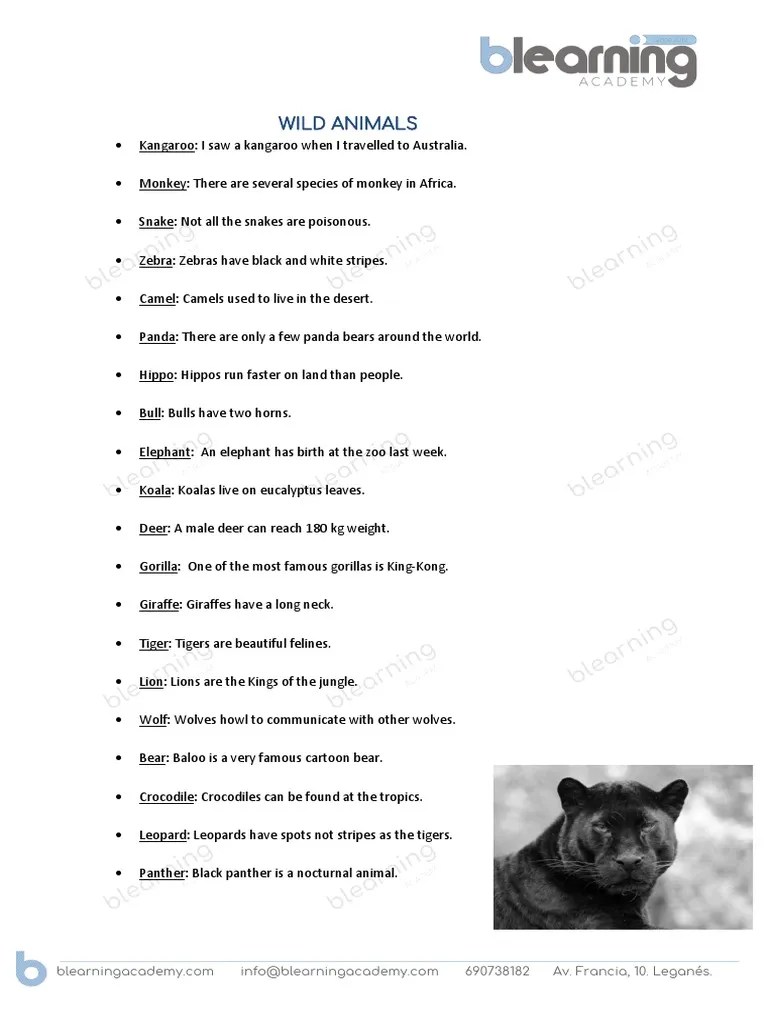 Wild Animals Sentences PDF