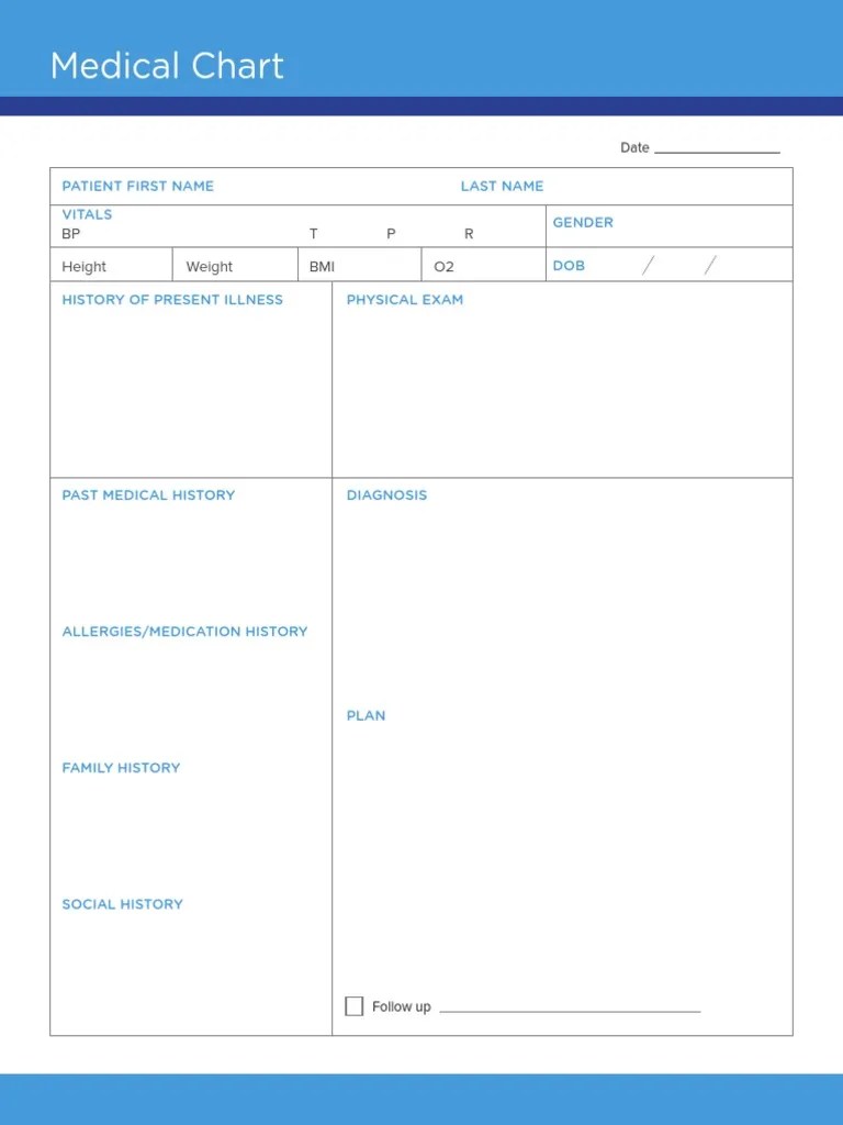 Medical Chart Template | PDF