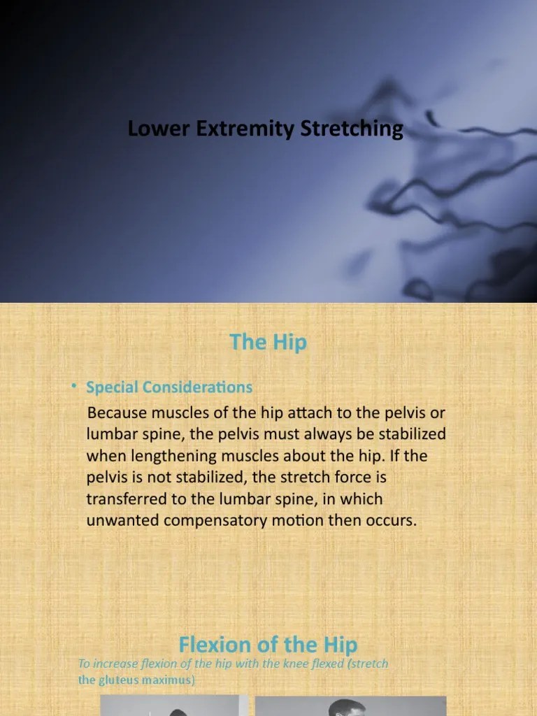 Lower Extremity Stretching PDF Anatomical Terms Of Motion Hip