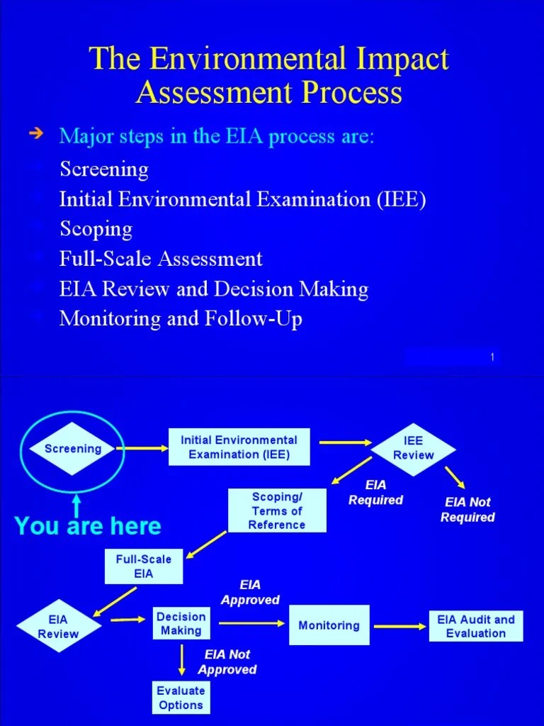 The Environmental Impact Assessment Process PDF Environmental