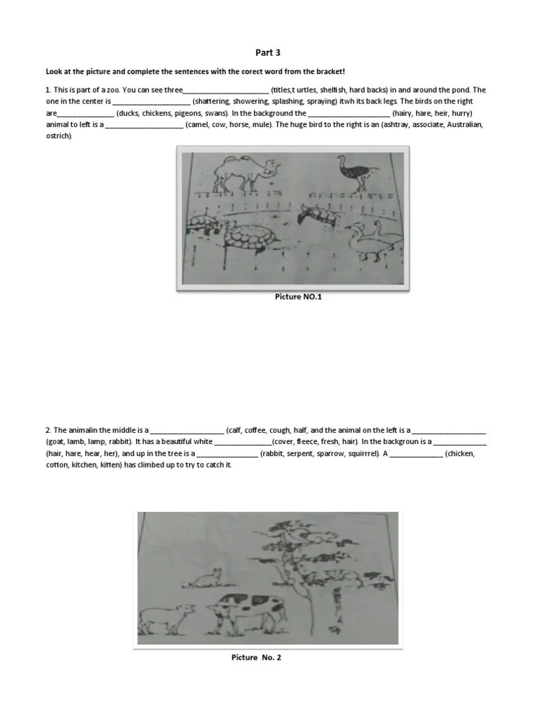 Look at The Picture and Complete The Sentences With The Corect Word