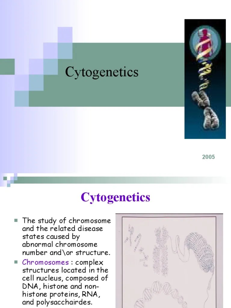 Cytogentetics Lecture PDF Fluorescence In Situ Hybridization Cell