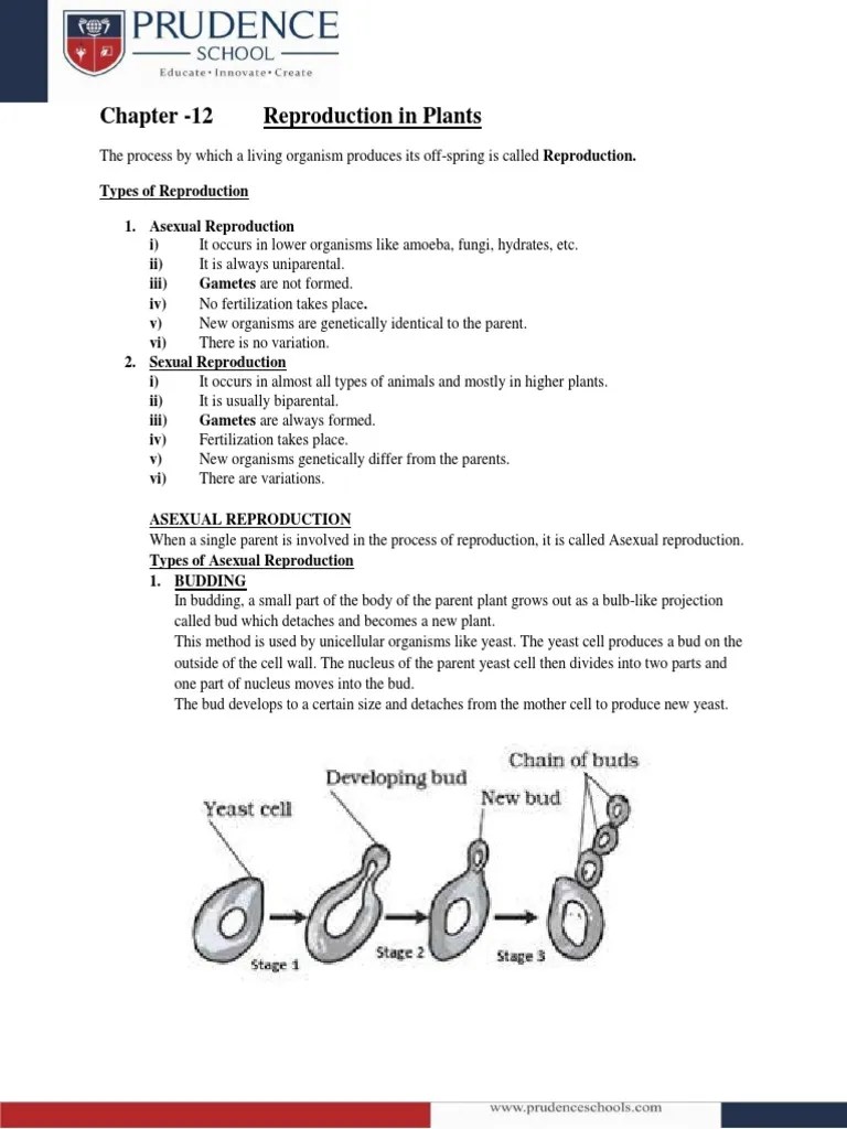 Reproduction in Plants Notes PDF Pollination Flowers