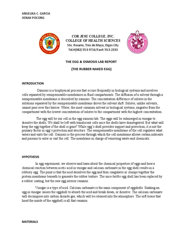 Lab Report (Egg and Osmosis) PDF Osmosis Cell Membrane