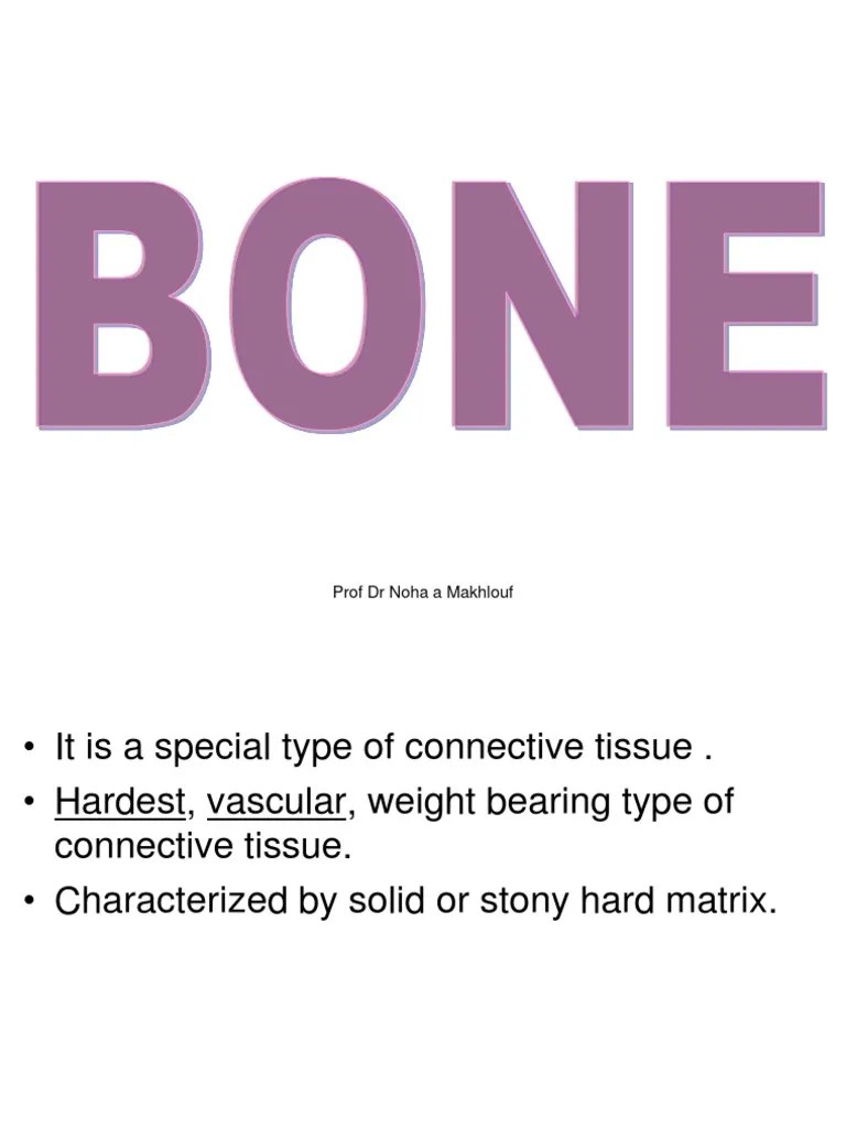 7 Bone PDF Bone Osteoblast