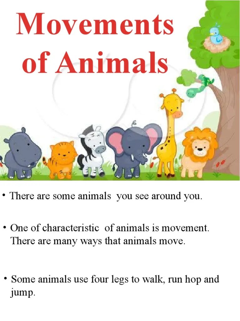 Movements of Animals PDF