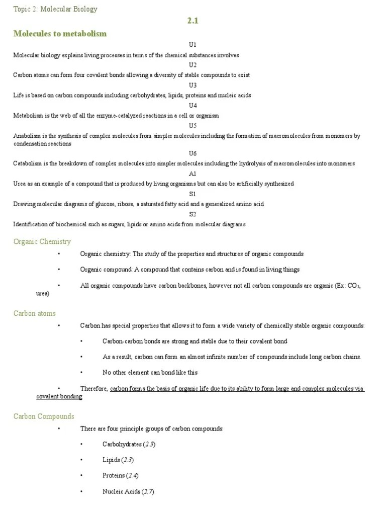 Molecular Biology IB Reviewer PDF Dna Metabolism