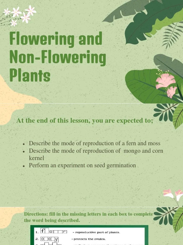 LESSON 5 Flowering and NonFlowering Plants PDF Seed Germination