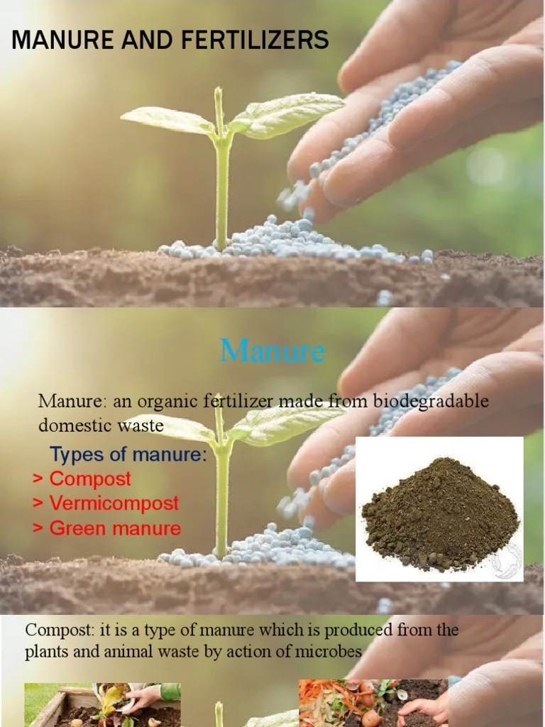 Manure and Fertilizers PPT 1 PDF Fertilizer Soil