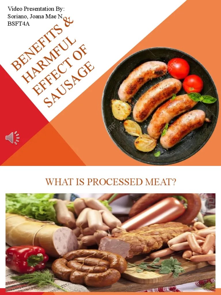 Sausage Final PDF Fat Saturated Fat