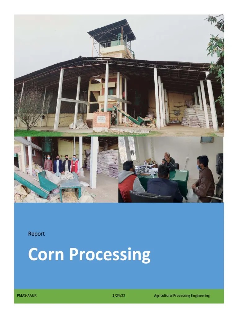 Corn Processing For Animal Feed | PDF | Maize | Molasses