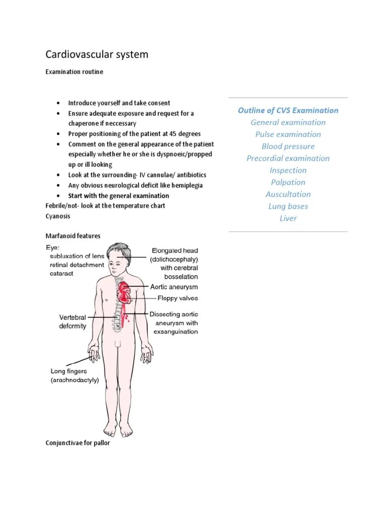 A Comprehensive Guide to Cardiovascular Examination Evaluating Common