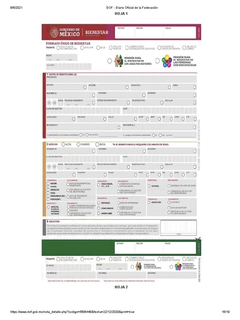 Formato Unico Del Bienestar PDF