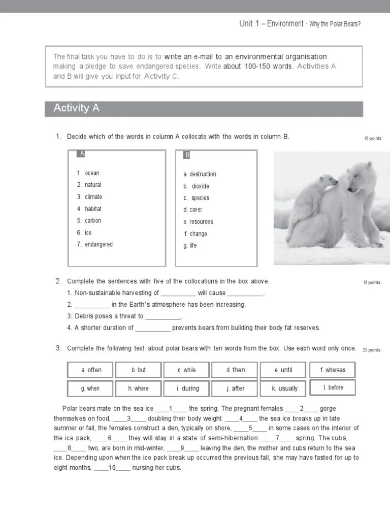 Activity A: Why The Polar Bears? | PDF | Polar Bear | Bears