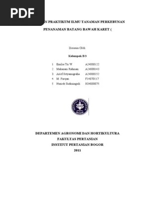 Perkebunan Penanaman Batang Bawah Karet | PDF