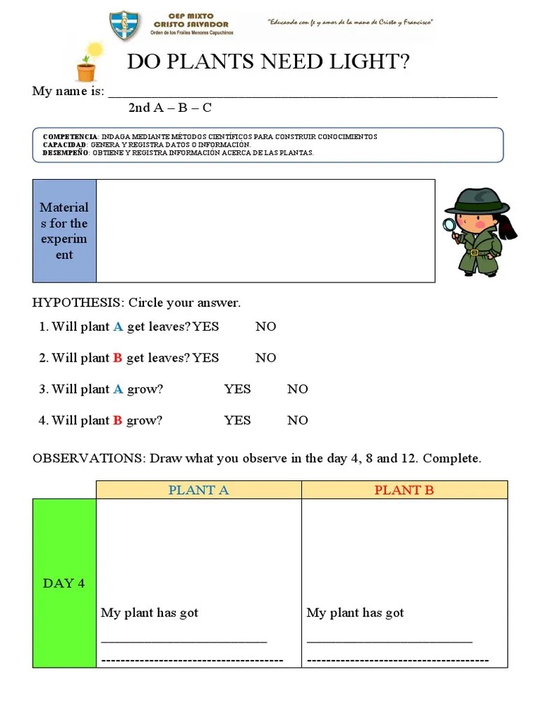 Do Plants Need Light PDF