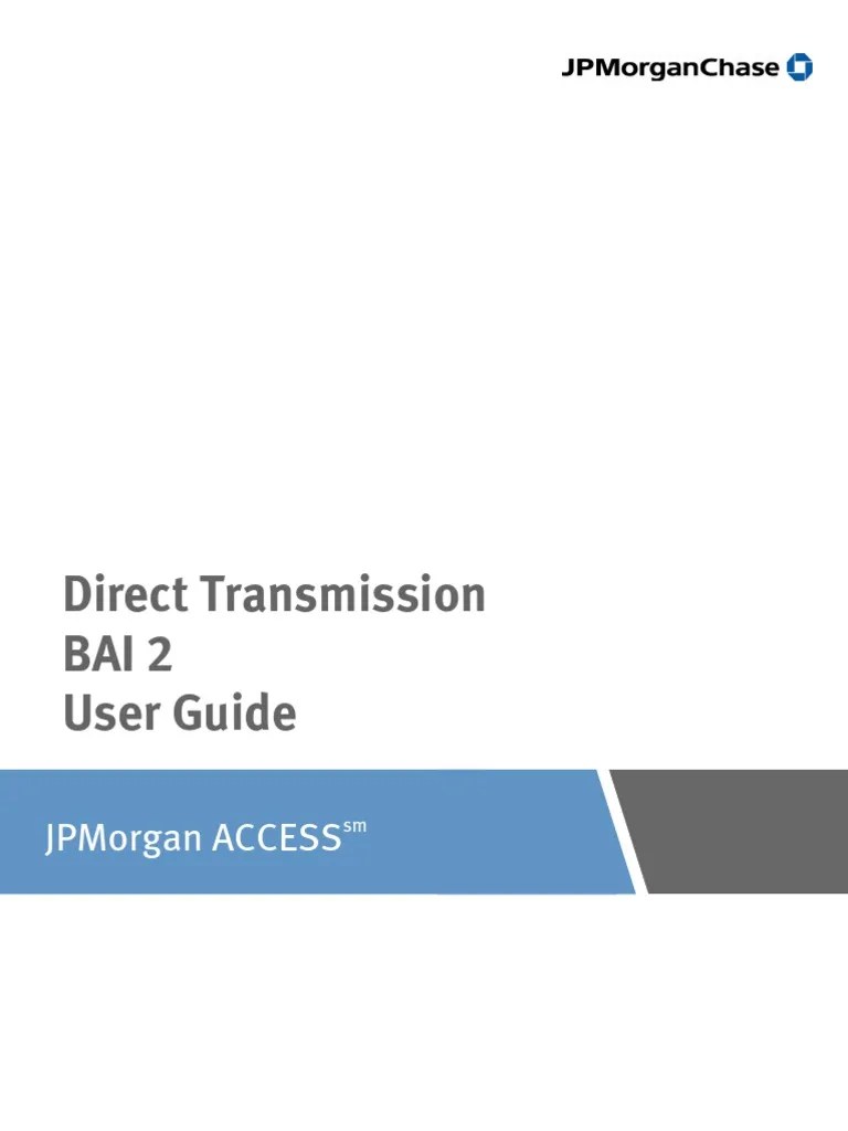 JPM Access Bai2 Userguide PDF Debits And Credits File Format