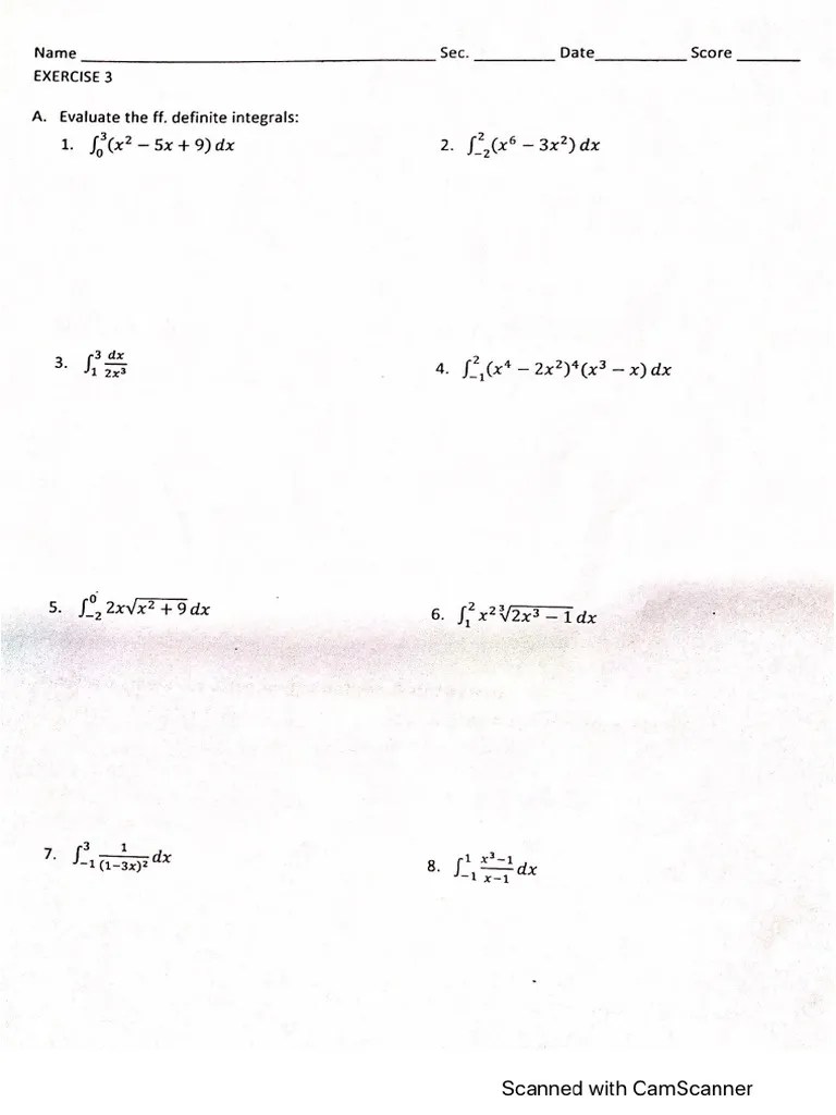 The Definite Integral Worksheet PDF