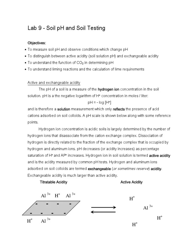 Lab 9 PH Soil Testing PDF Ph Soil