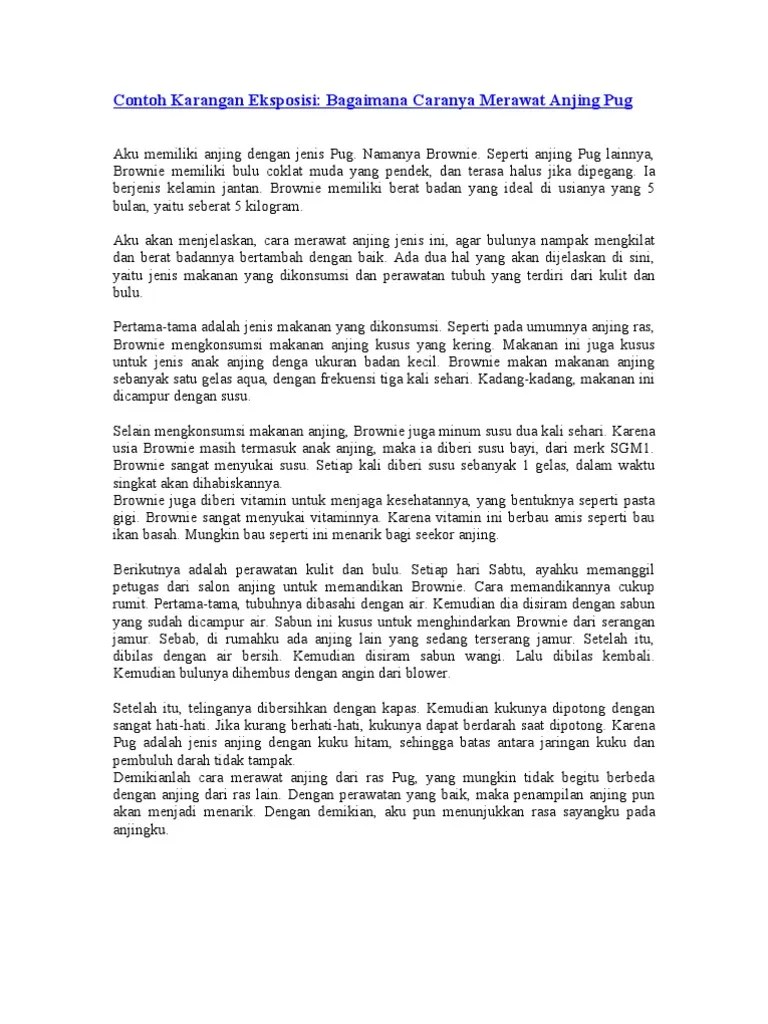 Contoh Karangan Eksposisi Pendek Aneka Macam Contoh