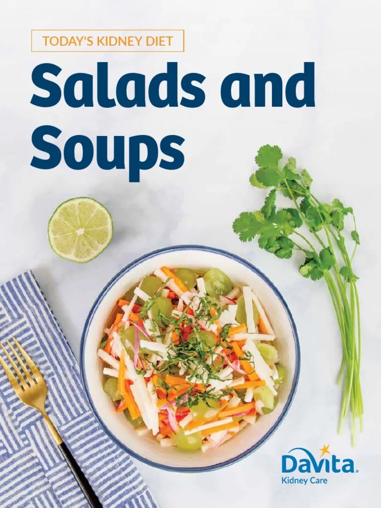 DaVita Todays Kidney Diet Salad and Soup Cookbook PDF Foods Soup