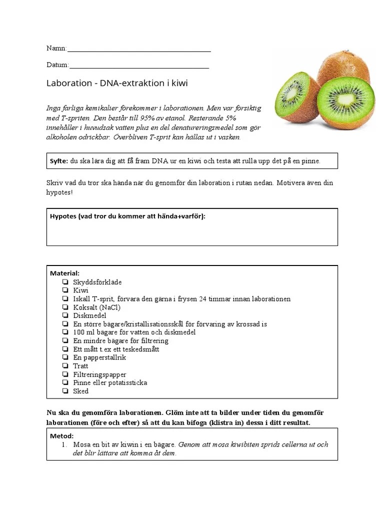 Lab Kiwi PDF