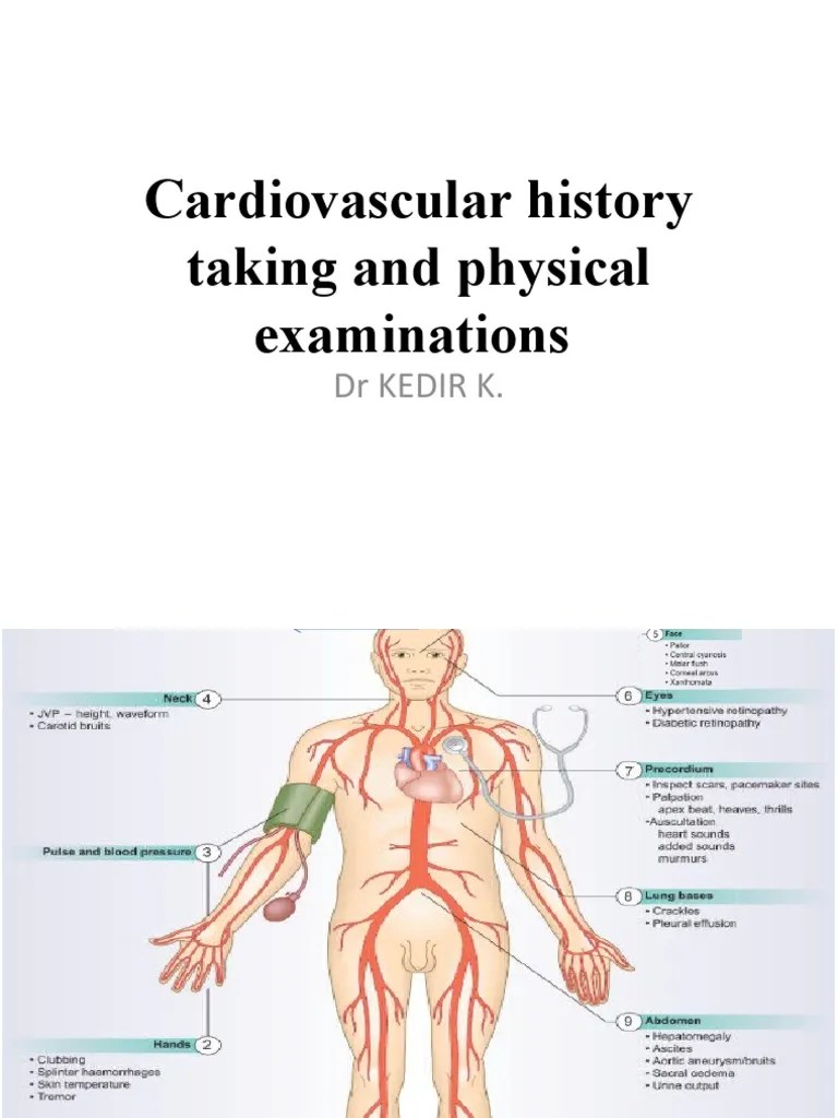 Cardiovascular History Taking and Physical Examinations PDF Heart
