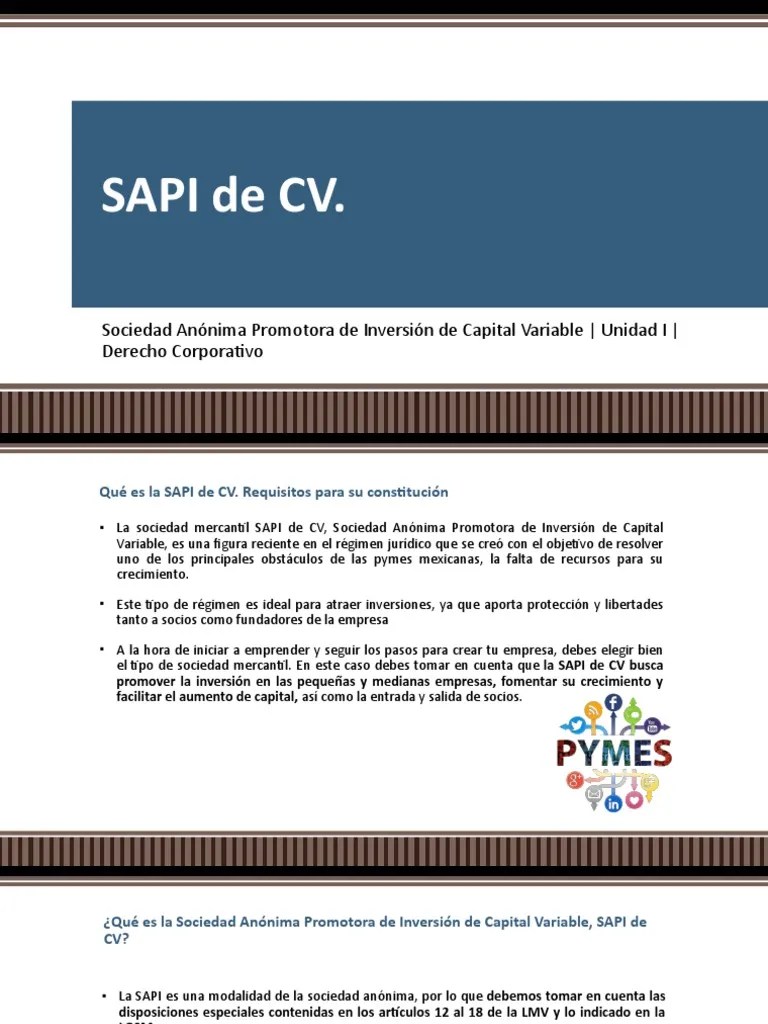SAPI de CV PDF Arrendamiento Sociedad de responsabilidad limitada