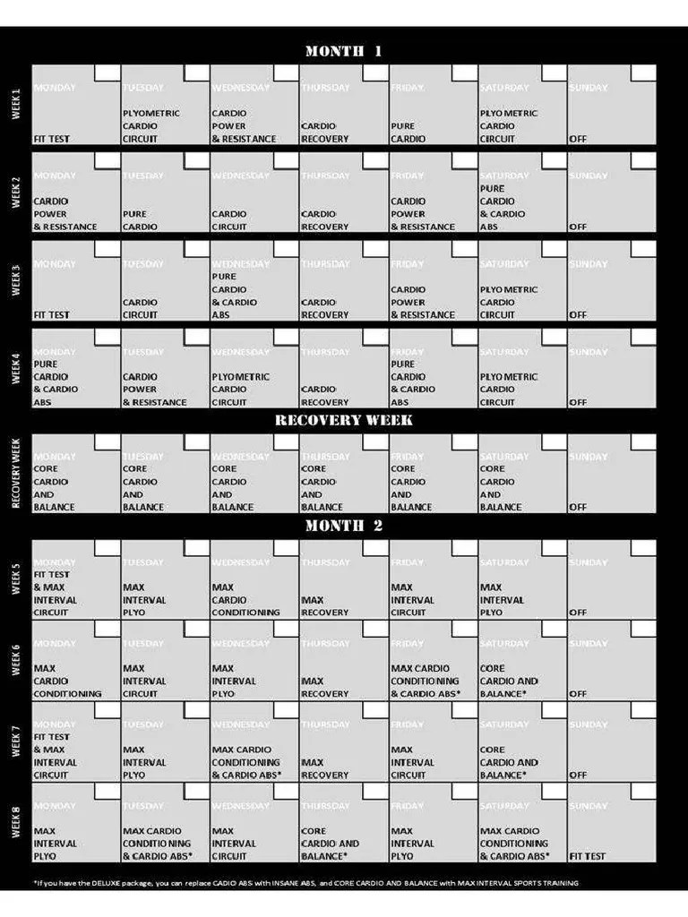 Insanity Calendar PDF