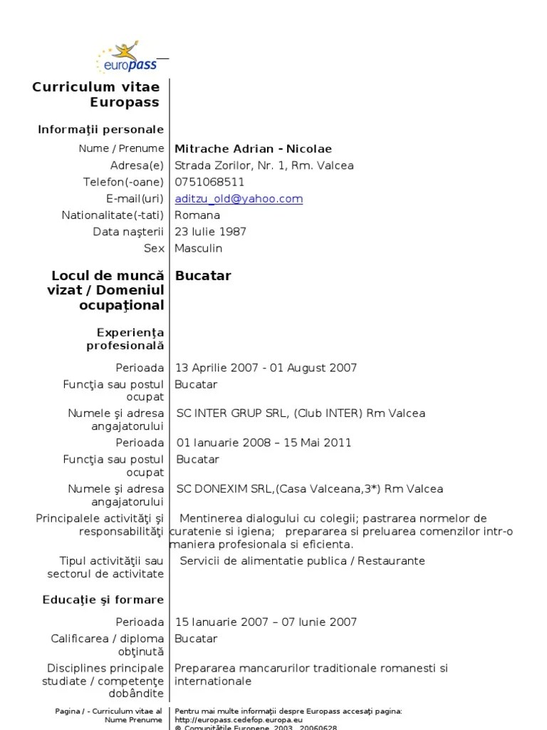 Model CV Curriculum Vitae European Romana