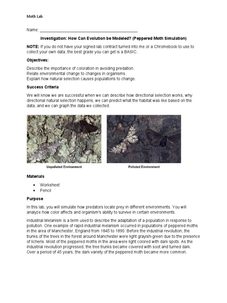 Peppered Moth Lab - With Data Provided | PDF | Chart