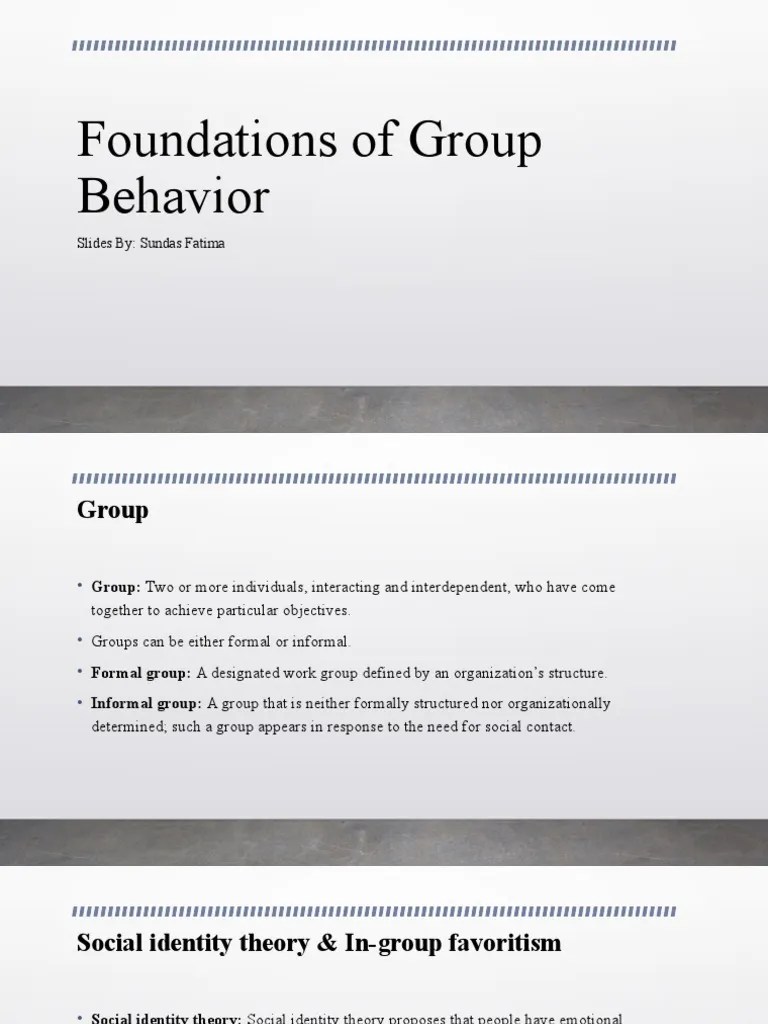 Foundations of Group Behavior PDF Identity (Social Science) Group