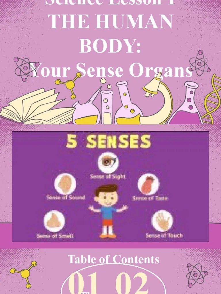 Science 1stQ Lesson 1 Sense Organs (Eyes and Ears) PDF Ear Eye