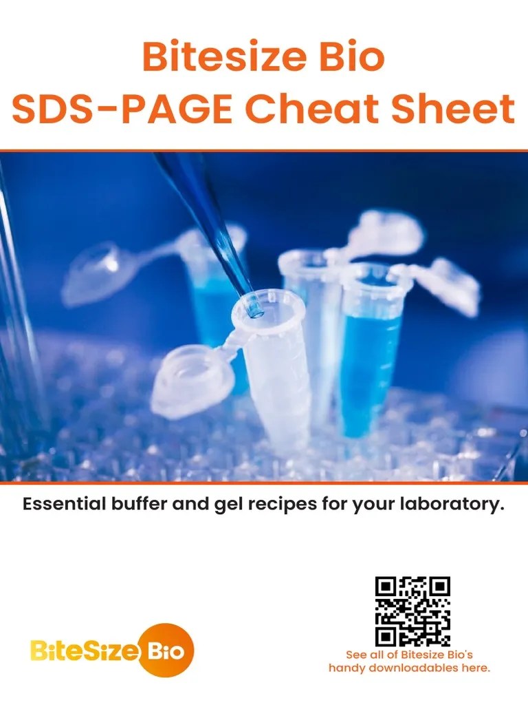 Bitesize Bio SDSPAGE Cheat Sheet Essential Buffer and Gel Recipes For