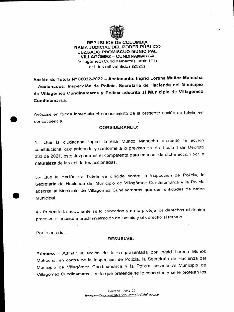 Auto Avoca Conocimiento Tutela PDF