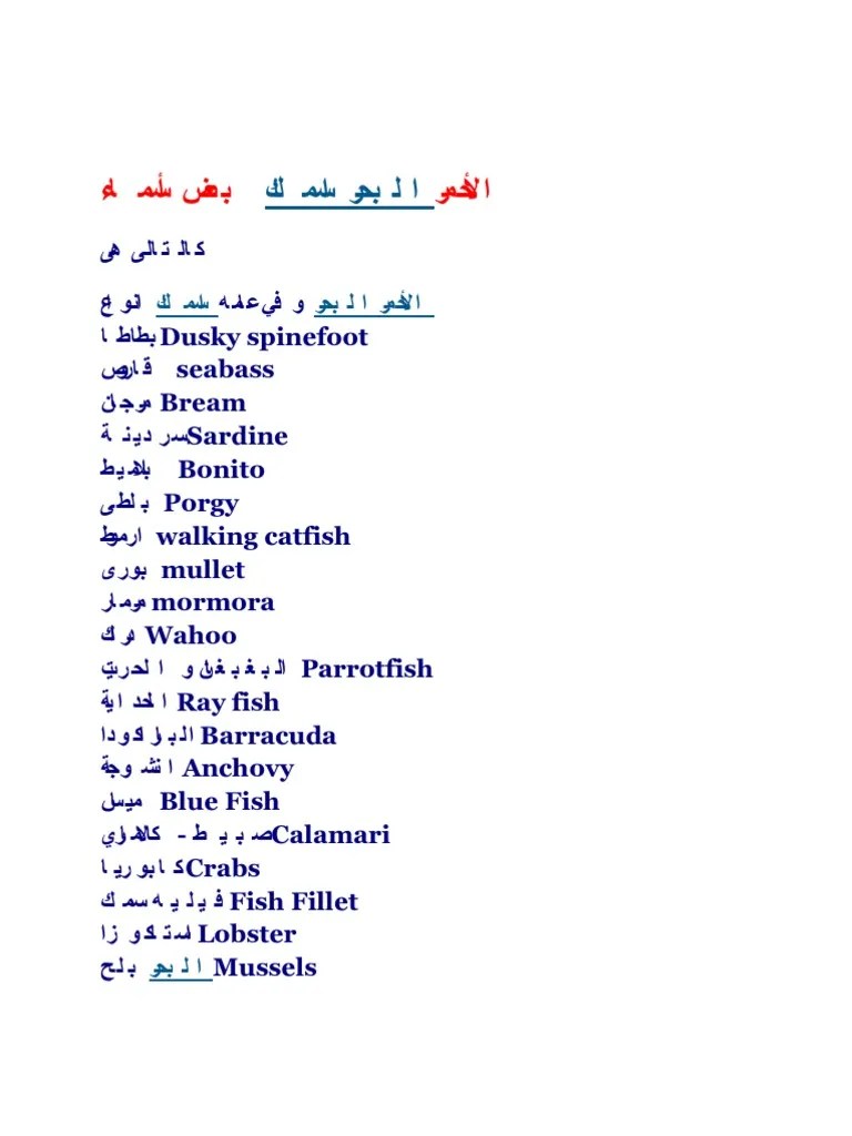 Fish Names in Arabic Fish And Humans Fishing Industry