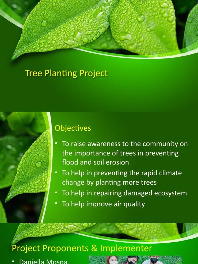 Tree Planting Project PDF