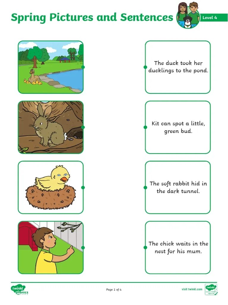 Level 4 Spring Pictures and Sentences PDF Botany Plants