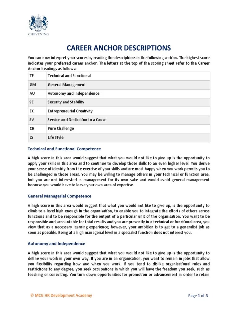 Career Anchors Description PDF Creativity Employment