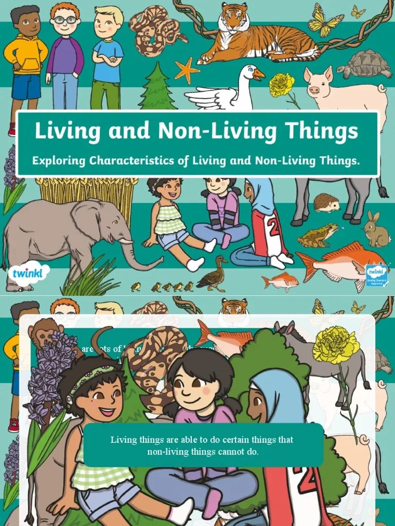 Living and NonLiving Things PDF