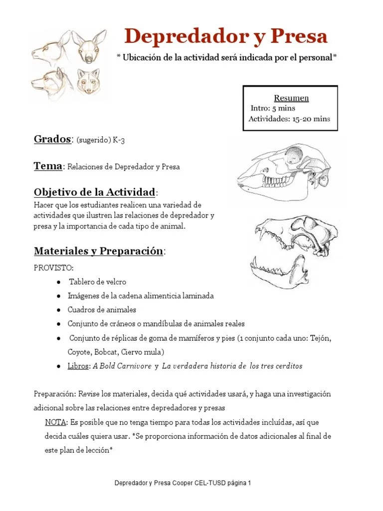 Predator & Prey Spanish Version PDF Diente Depredación