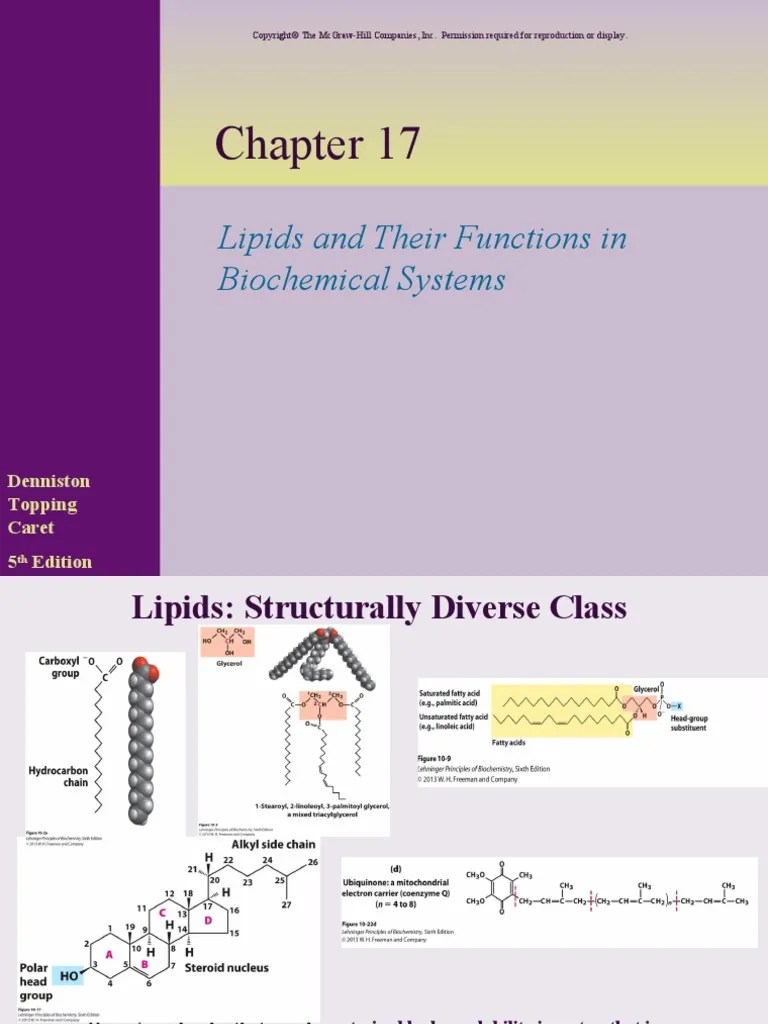 Lipids 1 PDF Cell Membrane Lipid