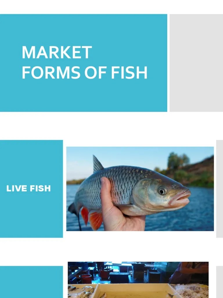 MARKET FORMS OF FISH PDF