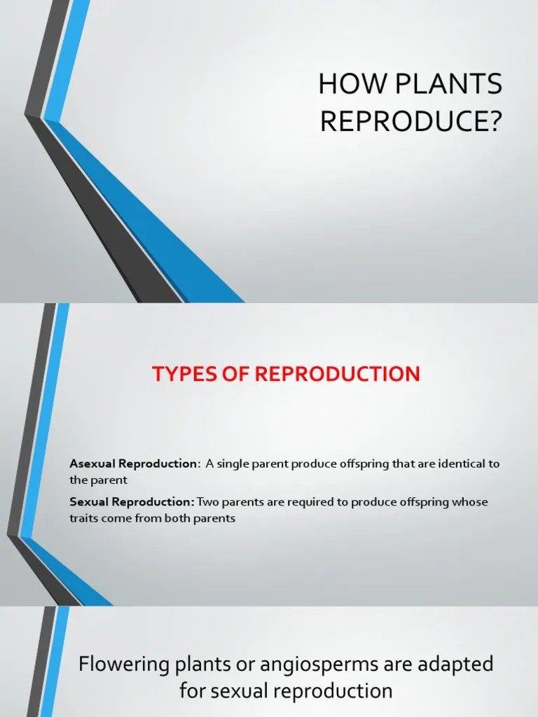 How Plants Reproduce PDF Sexual Reproduction Plant Reproduction