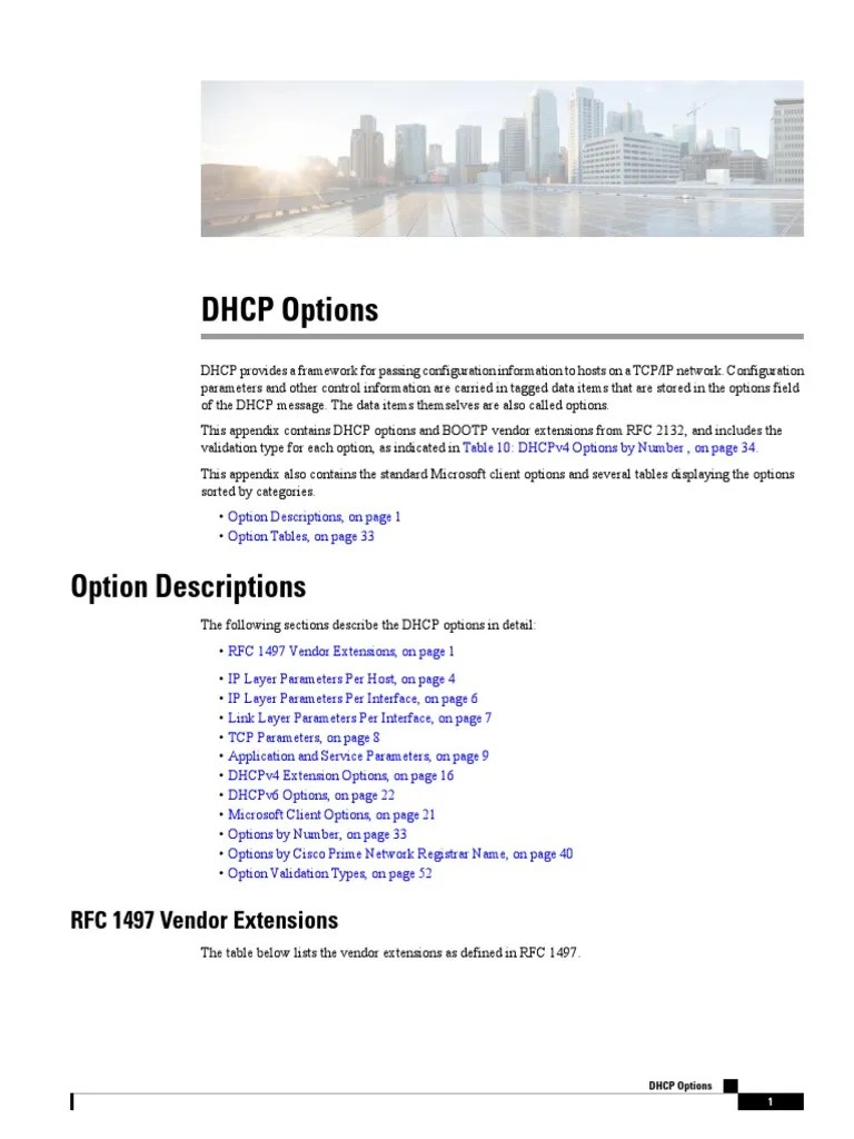 DHCP Options Explained: A Comprehensive Guide to DHCP Configuration
