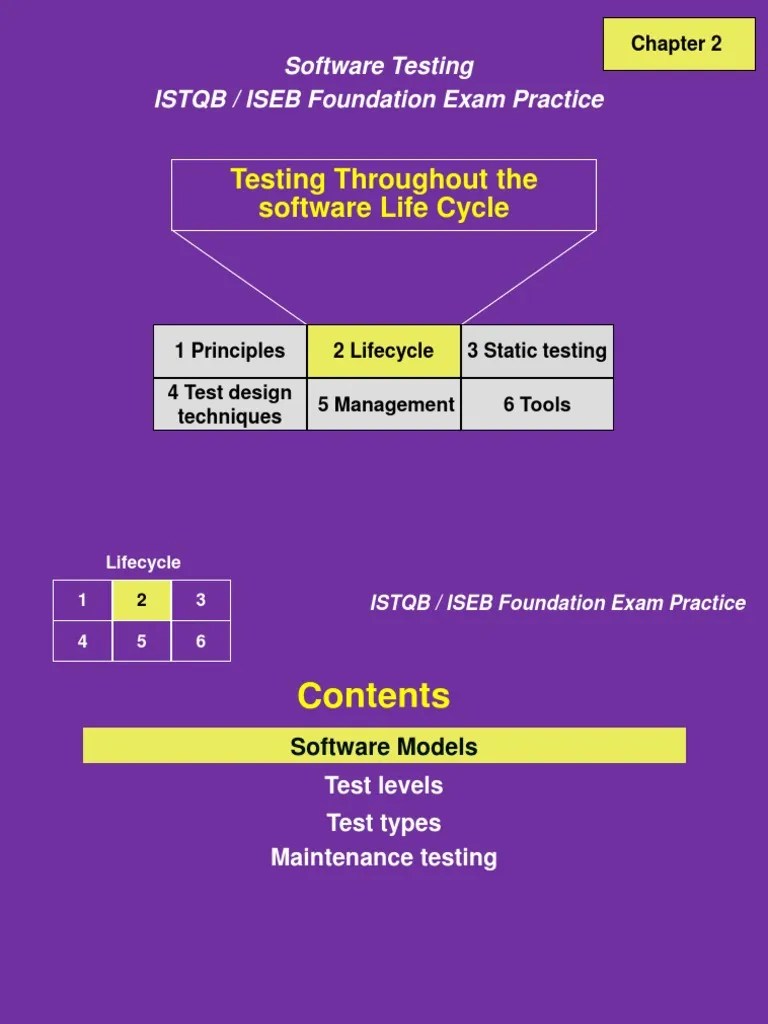 SWT2 Updated PDF Software Testing Computer Science