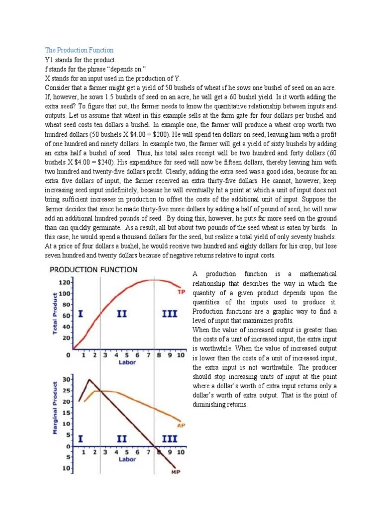 The Production Function | PDF | Production Function | Economies