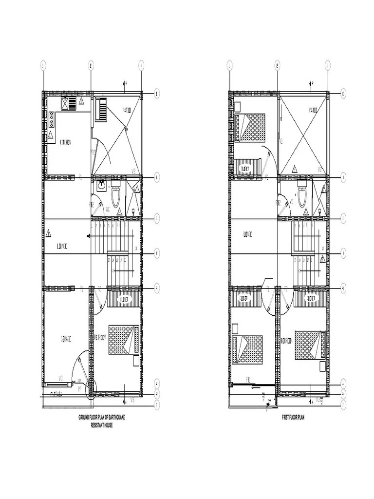 Disaster Model | PDF