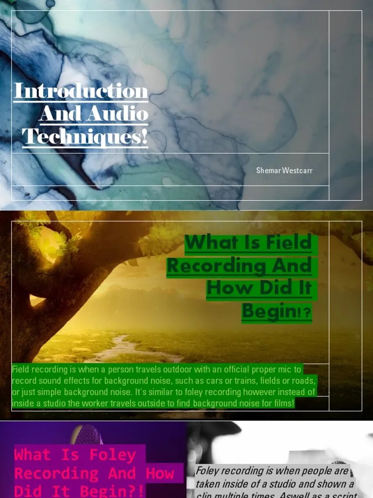 Introduction and Audio Techniques 1 PDF